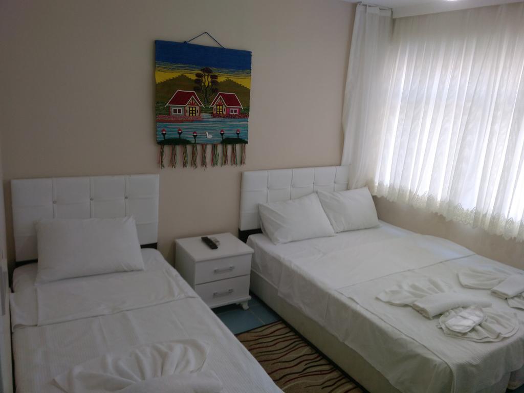 Grand Appartement