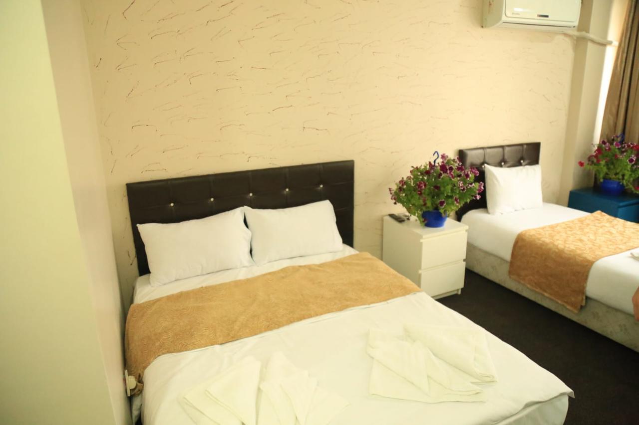 Grand Appartement