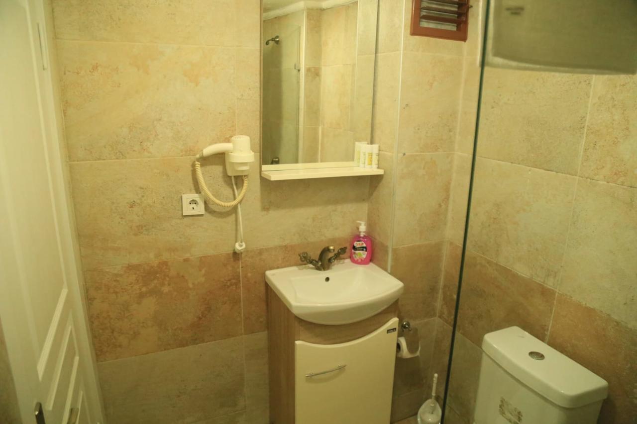 Grand Appartement *