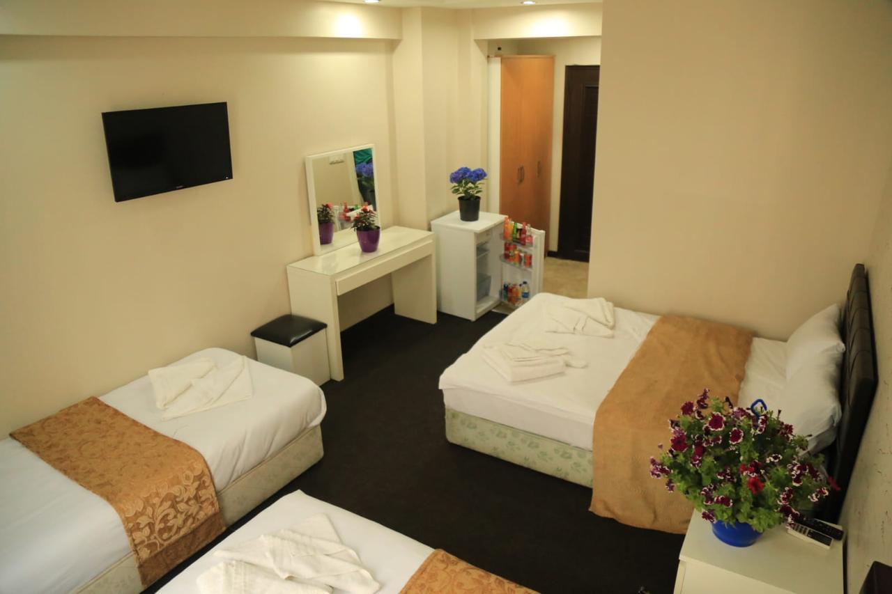Grand Appartement *